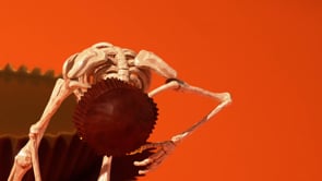 Related Embedded Video Item Thumbnail