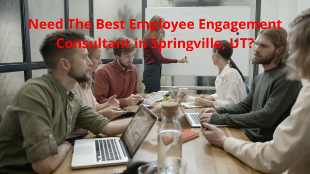 ⁣Employee Engagement Consultant - DecisionWise