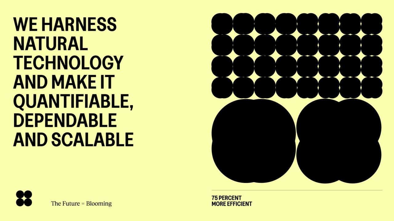 Video thumbnail: BP-1