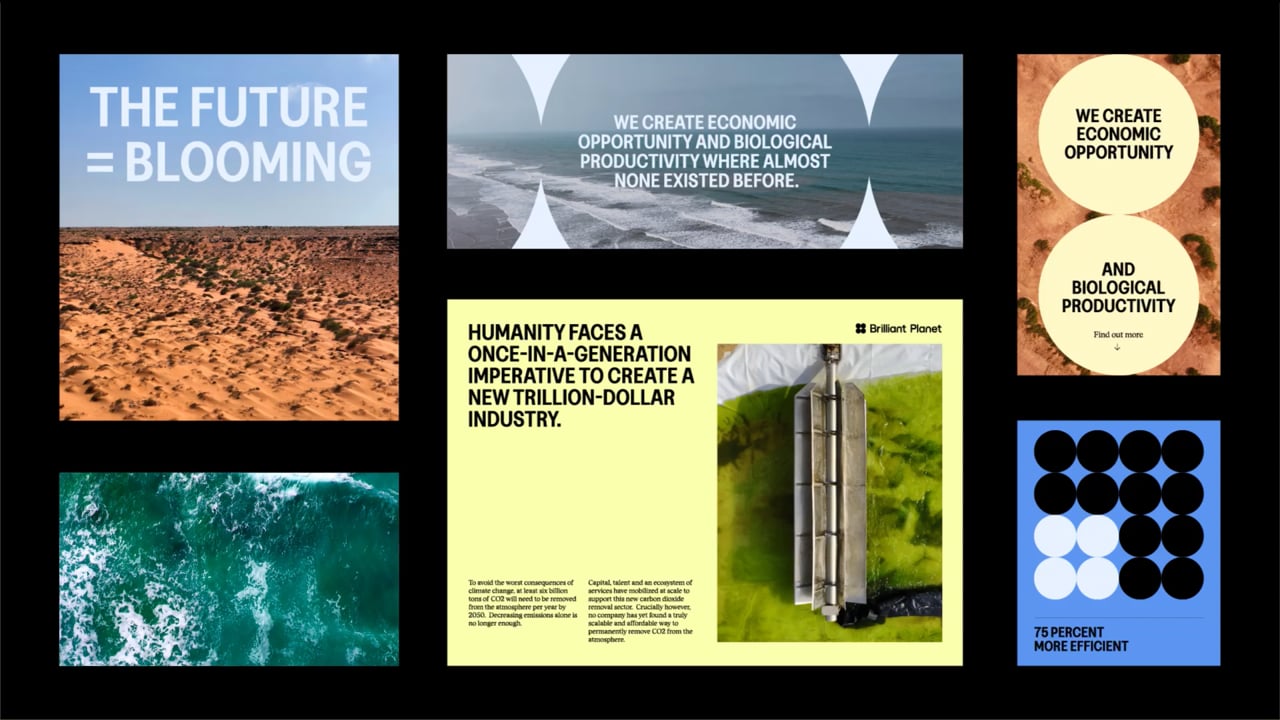 Video thumbnail: BP-4