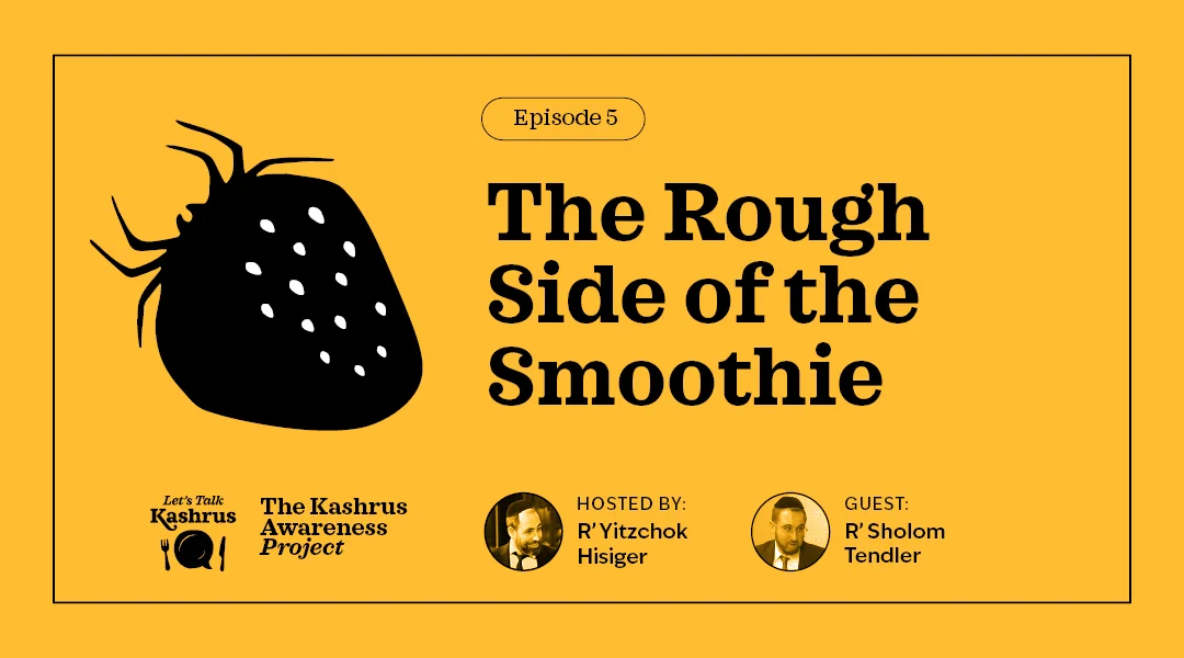 The Rough Side of a Smoothie in Insect Checking on Vimeo
