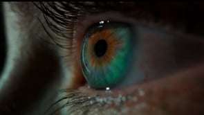Related Embedded Video Item Thumbnail