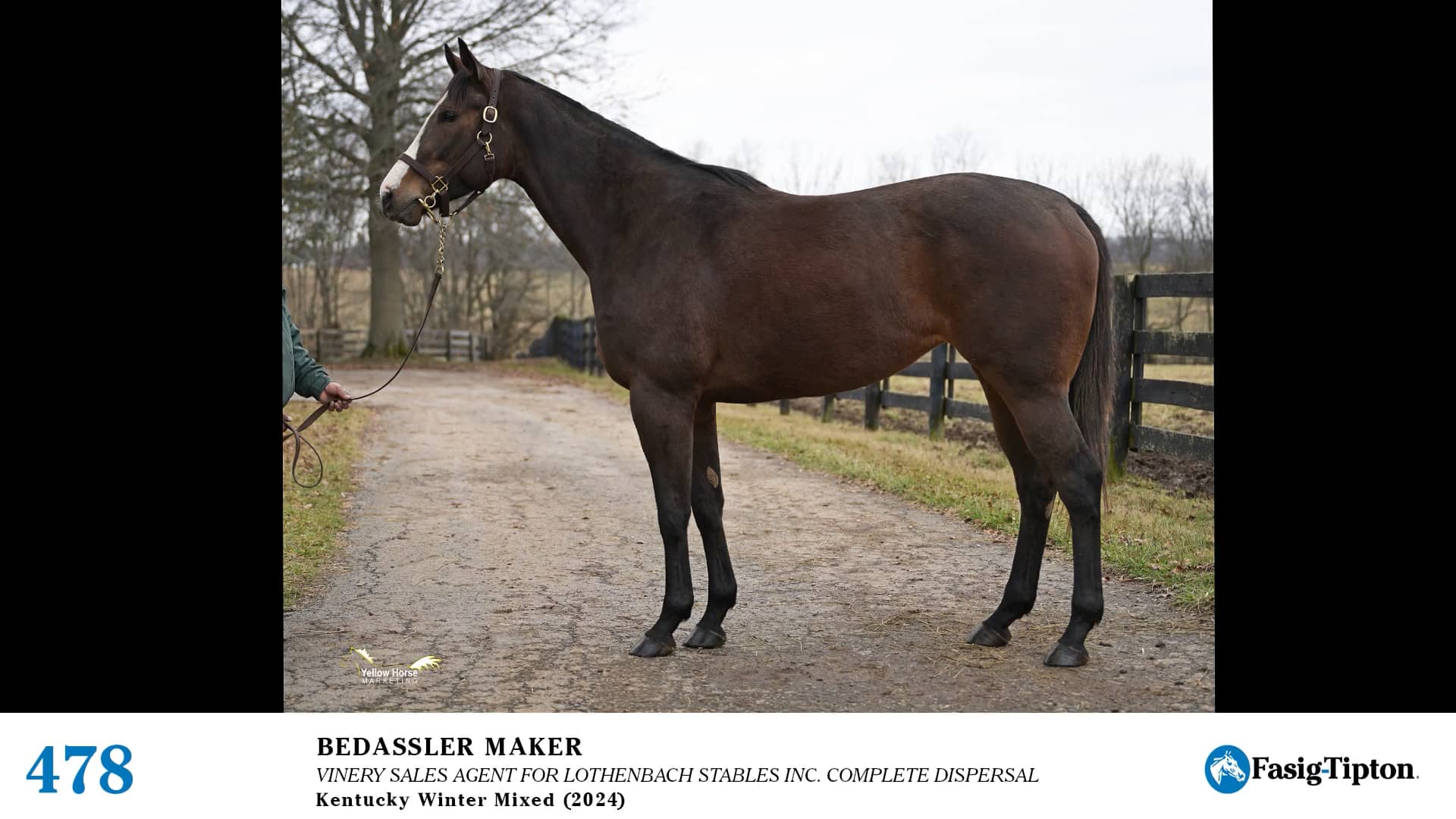 2024 FasigTipton Kentucky Winter Mixed Sale Hip 478 Bedassler Maker