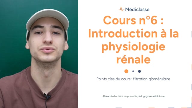 Focus - Filtration glomérulaire