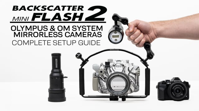 How to use Backscatter Mini Flash 2 with Olympus & OM Systems Mirrorless Cameras | Complete Setup Guide