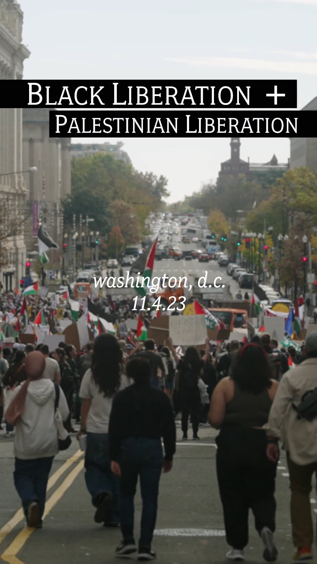 March for Palestine | Black Liberation