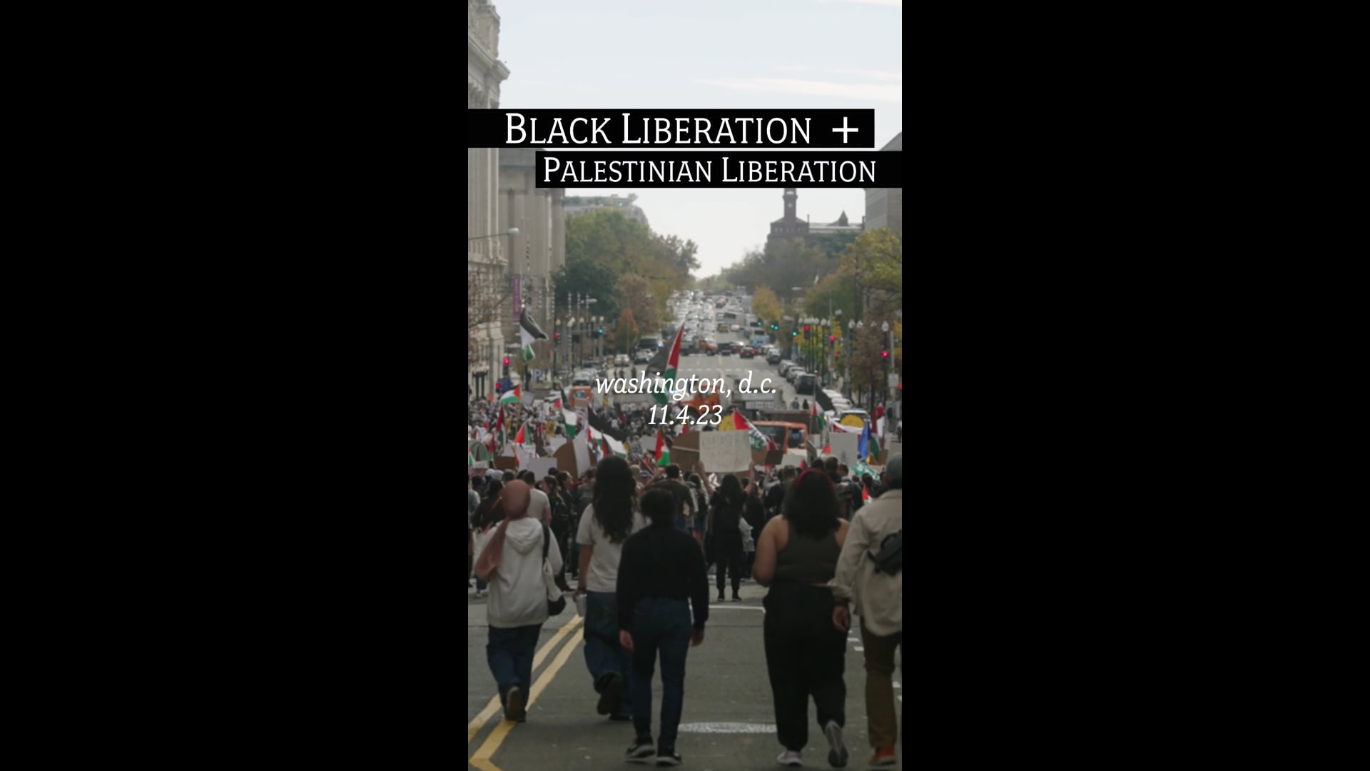 March for Palestine | Black Liberation