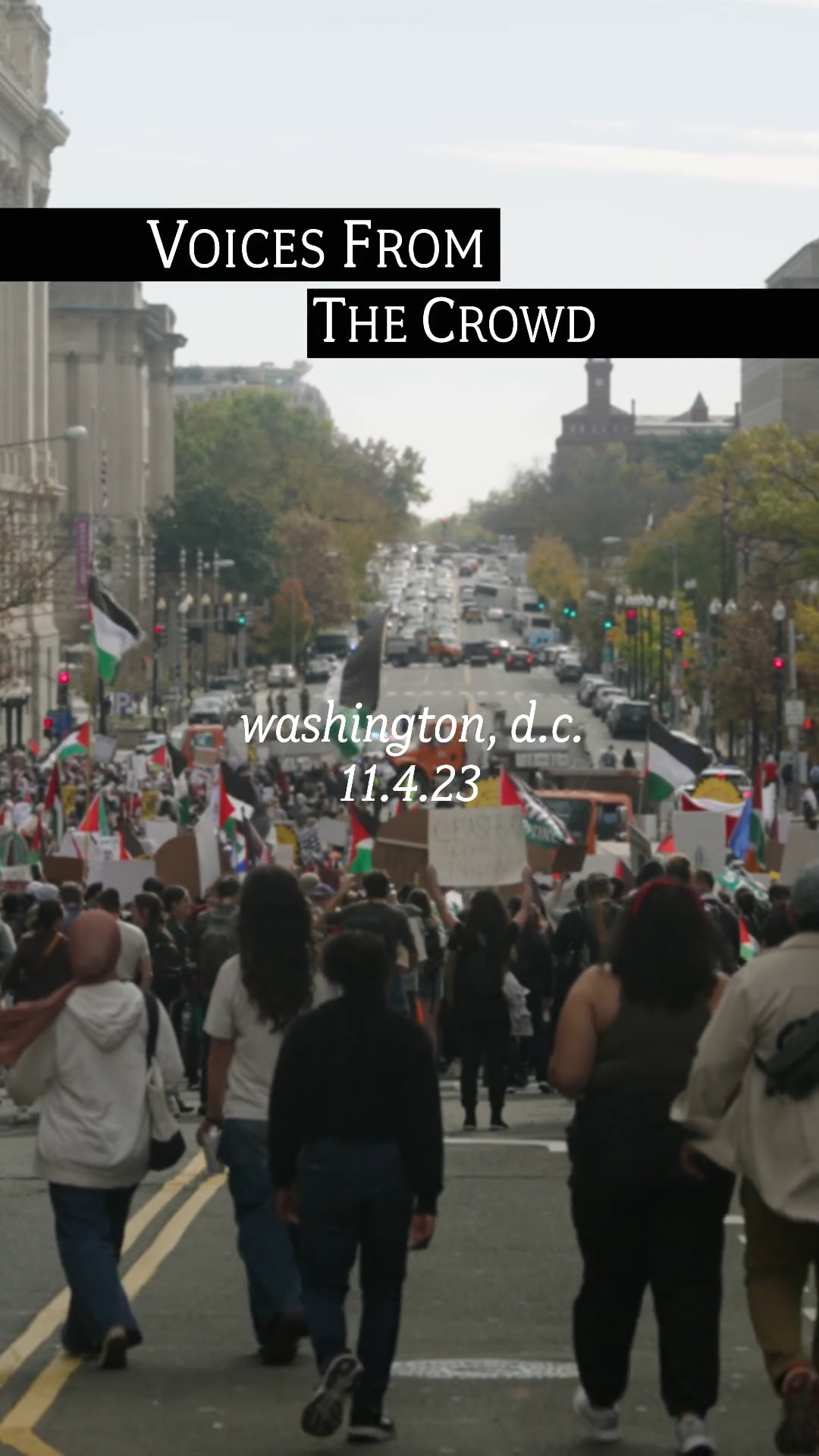 March for Palestine | The Purpose of Protest