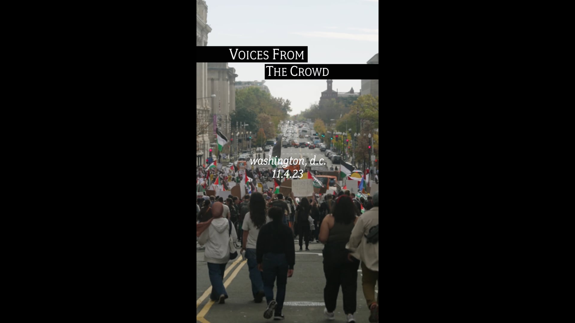 March for Palestine | The Purpose of Protest