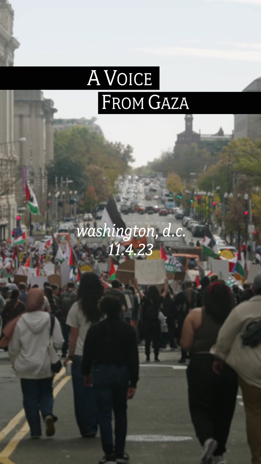 March for Palestine | The Palestinian POV