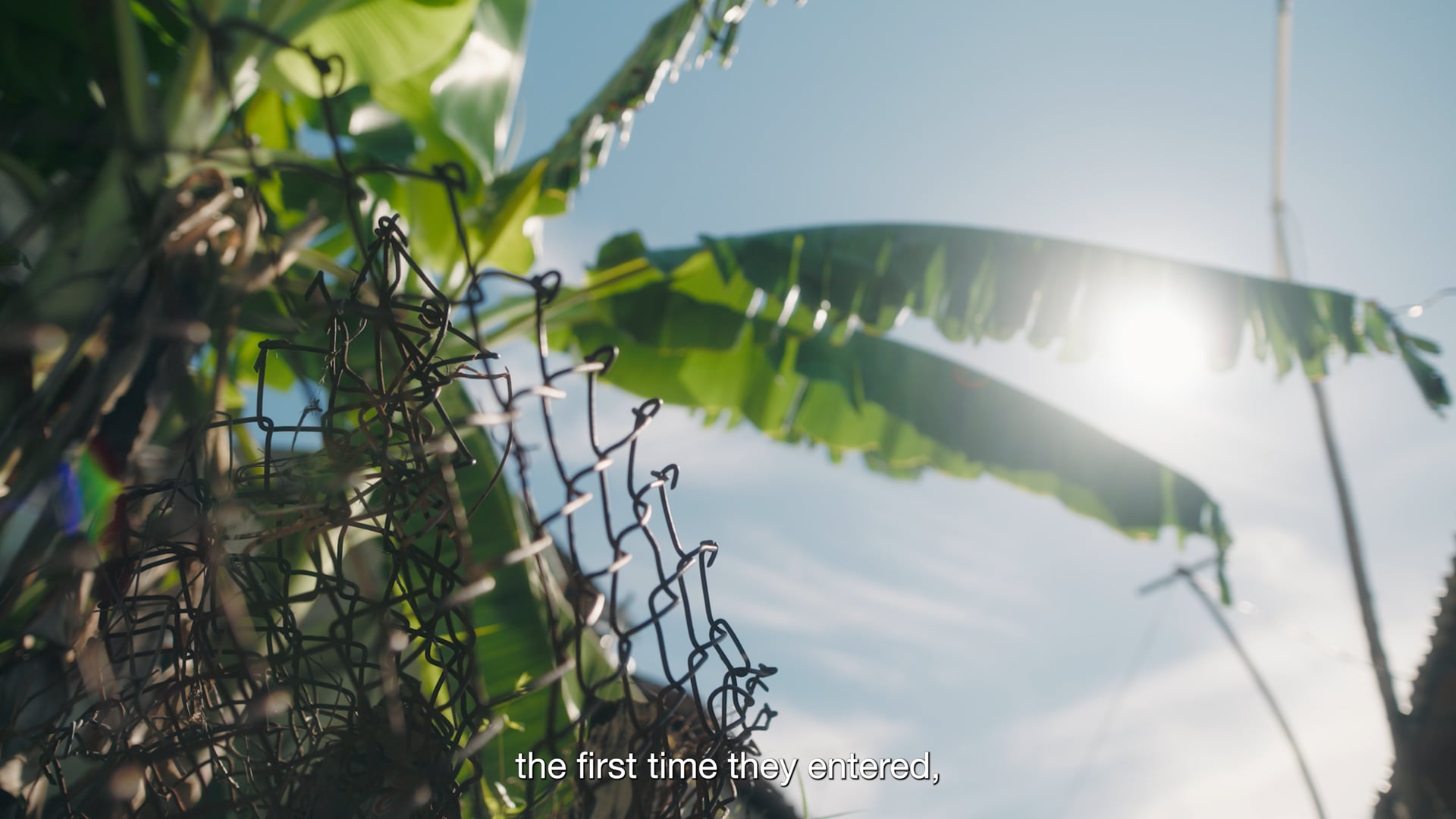 West Jet 'Live Different' - Directed by David Kalinauskas