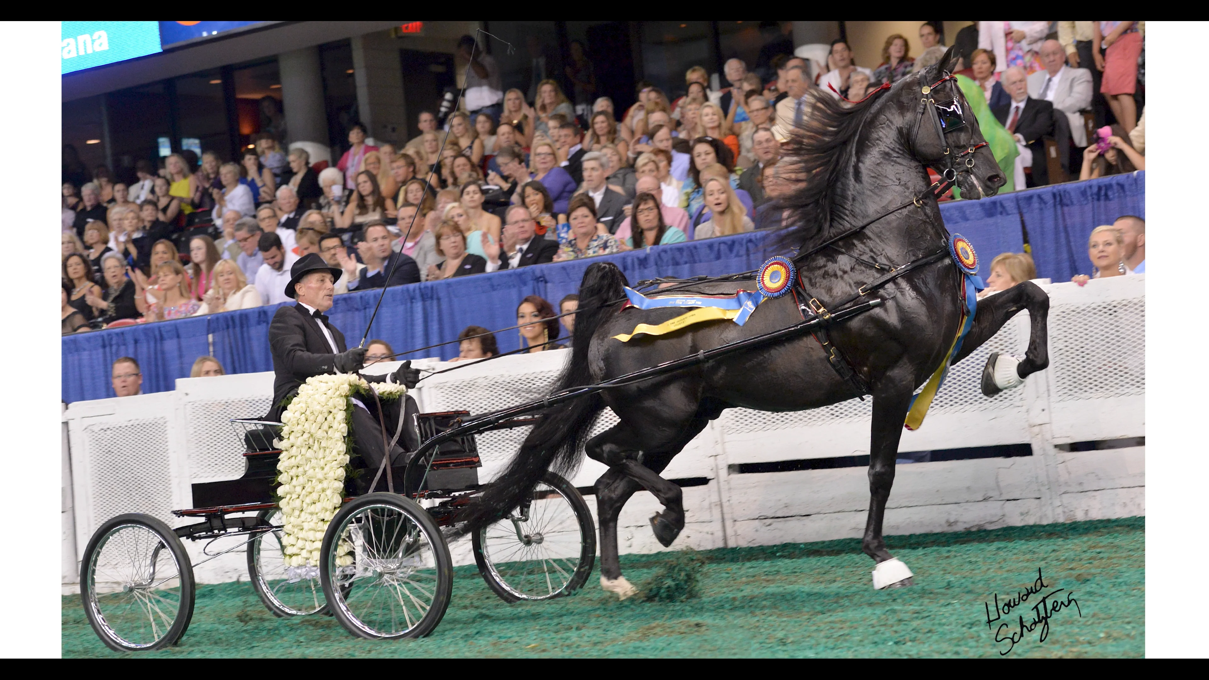 Nutcracker's Nirvana on Vimeo