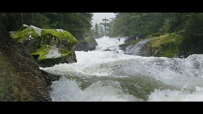 Whittier | Gateway to Prince William Sound