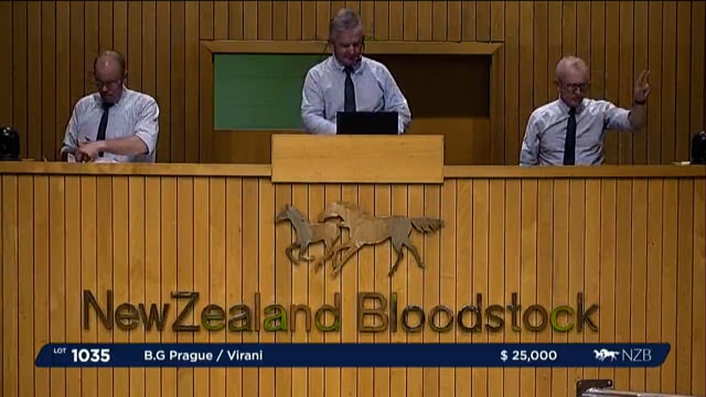 Karaka 2024: Book 2, Day 3 Lots 1035 - 1044