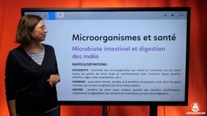 video : microbiote-intestinal-et-digestion-des-makis-4035