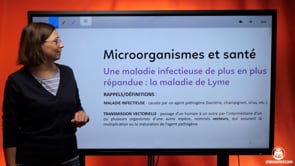 video : une-maladie-infectieuse-de-plus-en-plus-repandue-la-maladie-de-lyme-4036