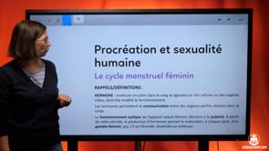 video : le-cycle-menstruel-feminin-4042