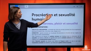 video : identite-cerveau-plaisir-et-sexualite-4043