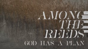 The Great "I Am"