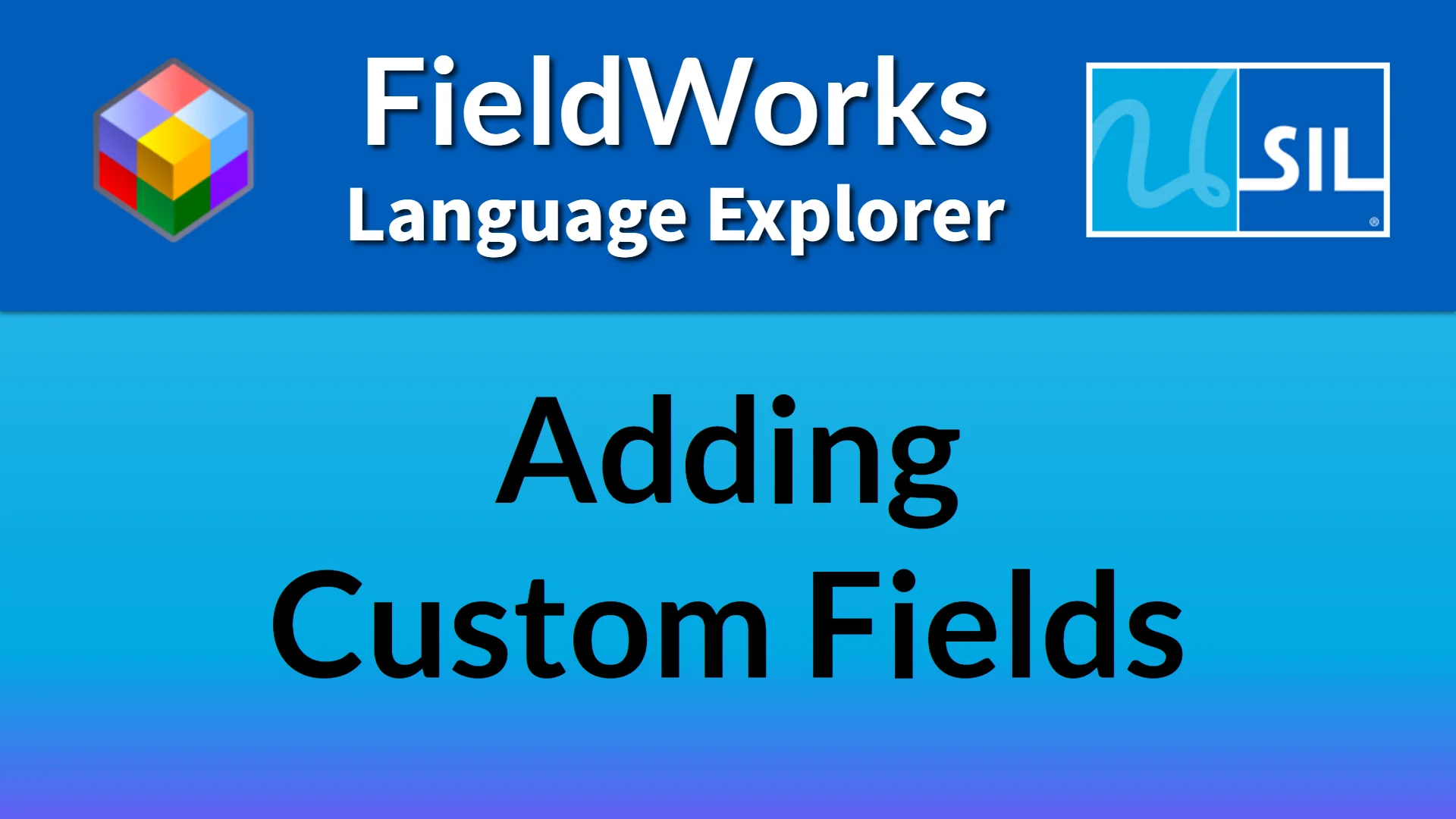 11 - Add custom fields in FieldWorks on Vimeo