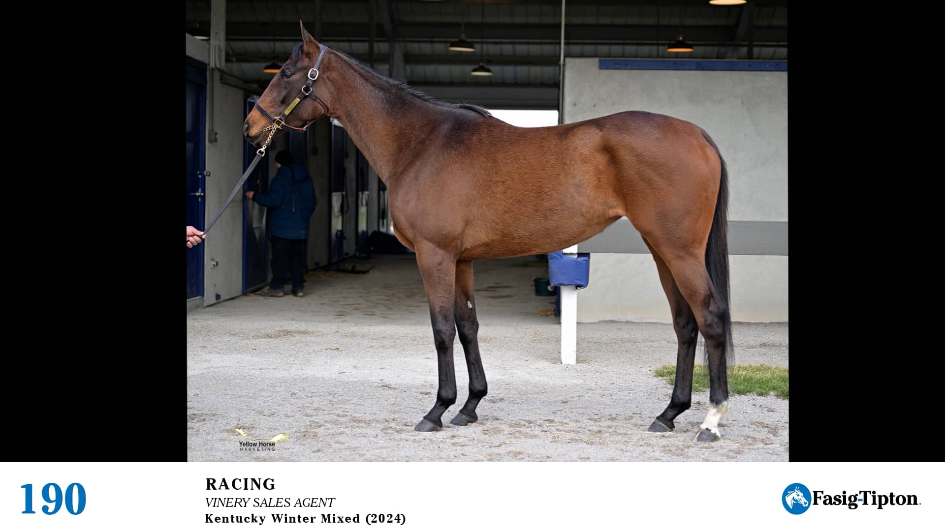 2024 FasigTipton Kentucky Winter Mixed Sale Hip 190 Racing on Vimeo