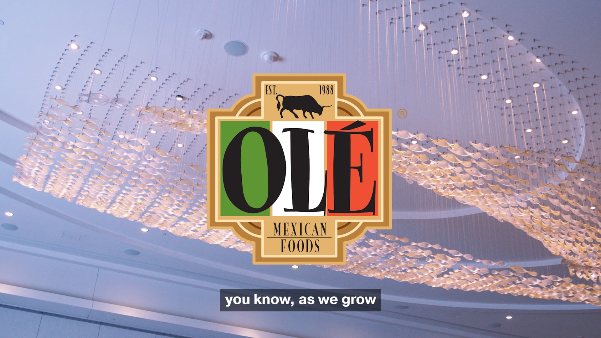 OLE 2023 - OFFICIAL HIGHLIGHT FILM