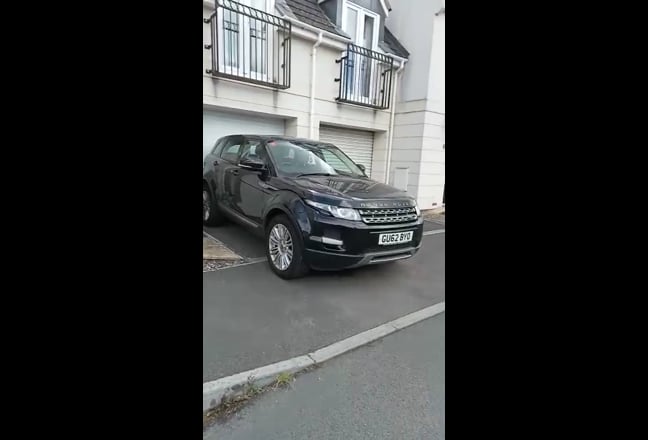 Video 1: