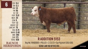 Lot #6 - R ADDITION 5153