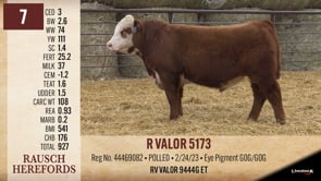 Lot #7 - R VALOR 5173