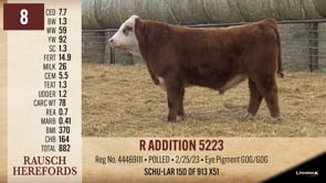 Lot #8 - R ADDITION 5223