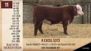 Lot #11 - R EXCEL 5373