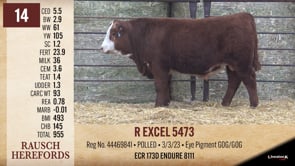 Lot #14 - R EXCEL 5473