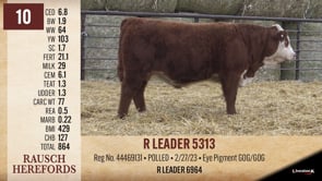 Lot #10 - R LEADER 5313