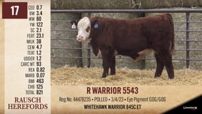 Lot #17 - R WAARIOR 5543