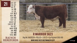 Lot #21 - R WARRIOR 5623
