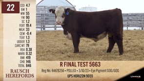 Lot #22 - R FINAL TEST 5663