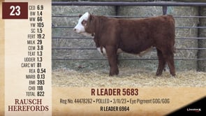 Lot #23 - R LEADER 5683