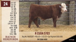 Lot #24 - R CUDA 5703