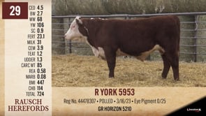 Lot #29 - R YORK 5953