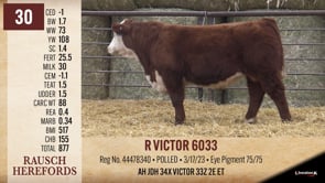 Lot #30 - R VICTOR 6033