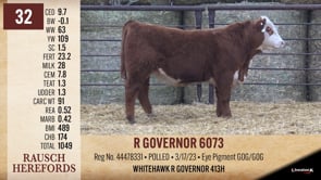 Lot #32 - R GOVERNOR 6073