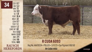 Lot #34 - R CUDA 6093