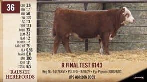 Lot #36 - R FINAL TEST 6143