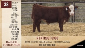 Lot #38 - R ENTRUST 6363