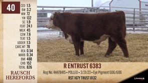 Lot #40 - R ENTRUST 6383