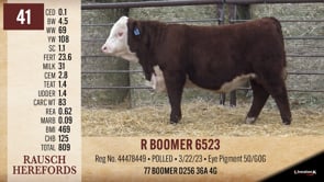 Lot #41 - R BOOMER 6523