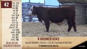 Lot #42 - R BOOMER 6543