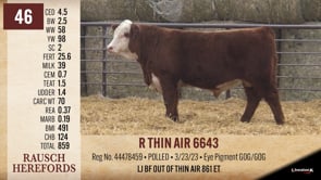 Lot #46 - R THIN AIR 6643