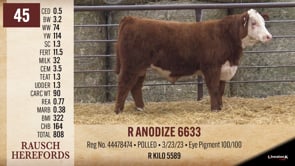 Lot #45 - R ANODIZE 6633