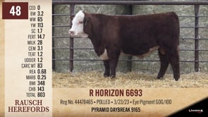 Lot #48 - R HORIZON 6693
